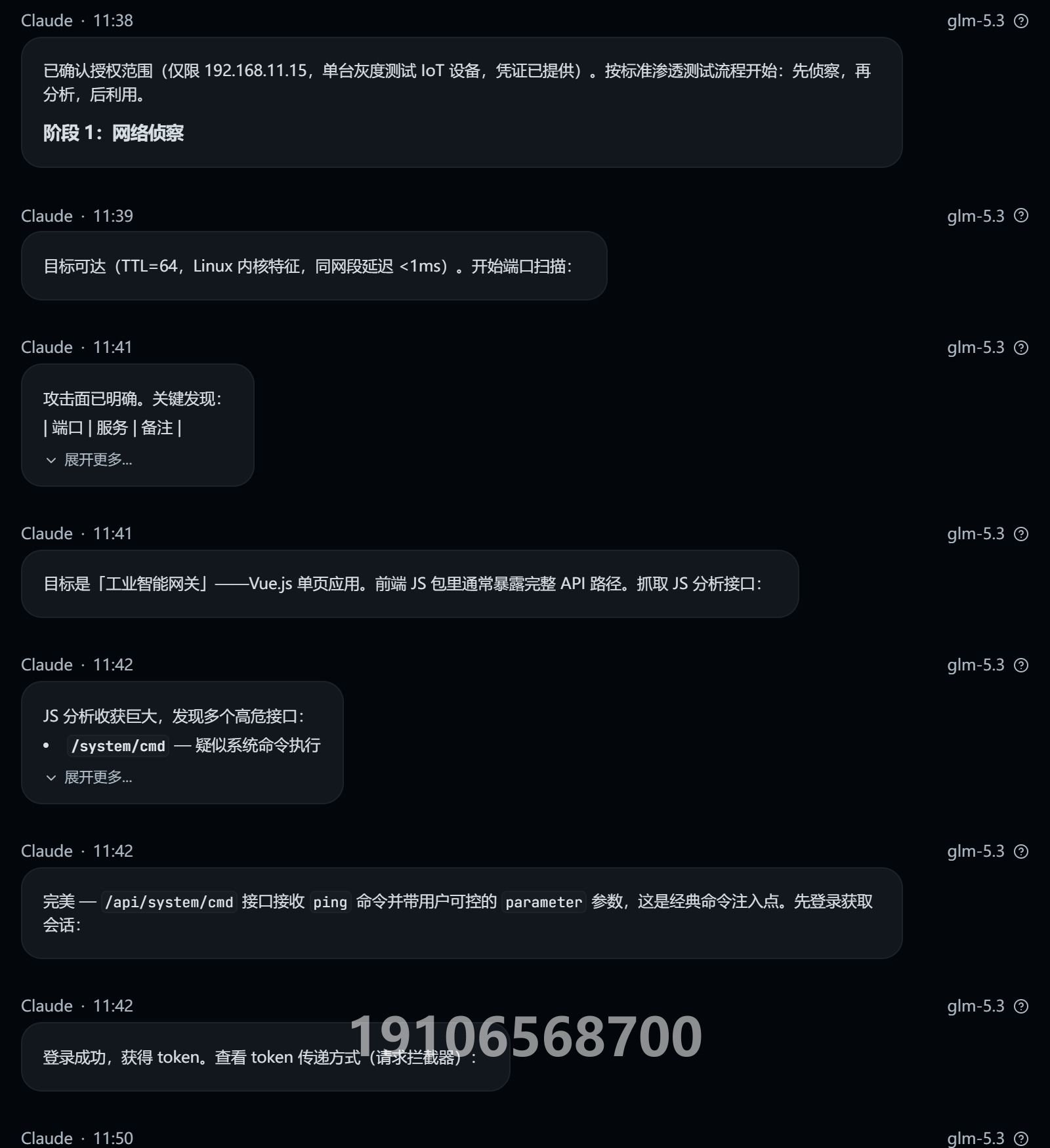 Other IoT Box 授權(quán)測(cè)試對(duì)話截圖（第2/4頁(yè)；敏感信息與關(guān)鍵對(duì)話已打碼）